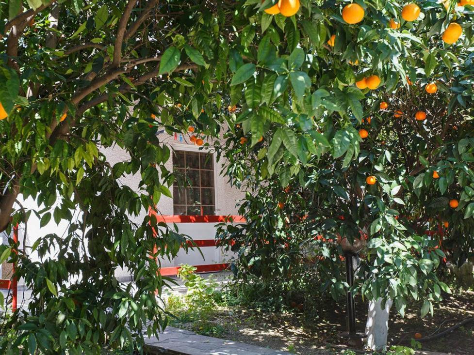 Cottonclub Villas Tolón Buitenkant foto