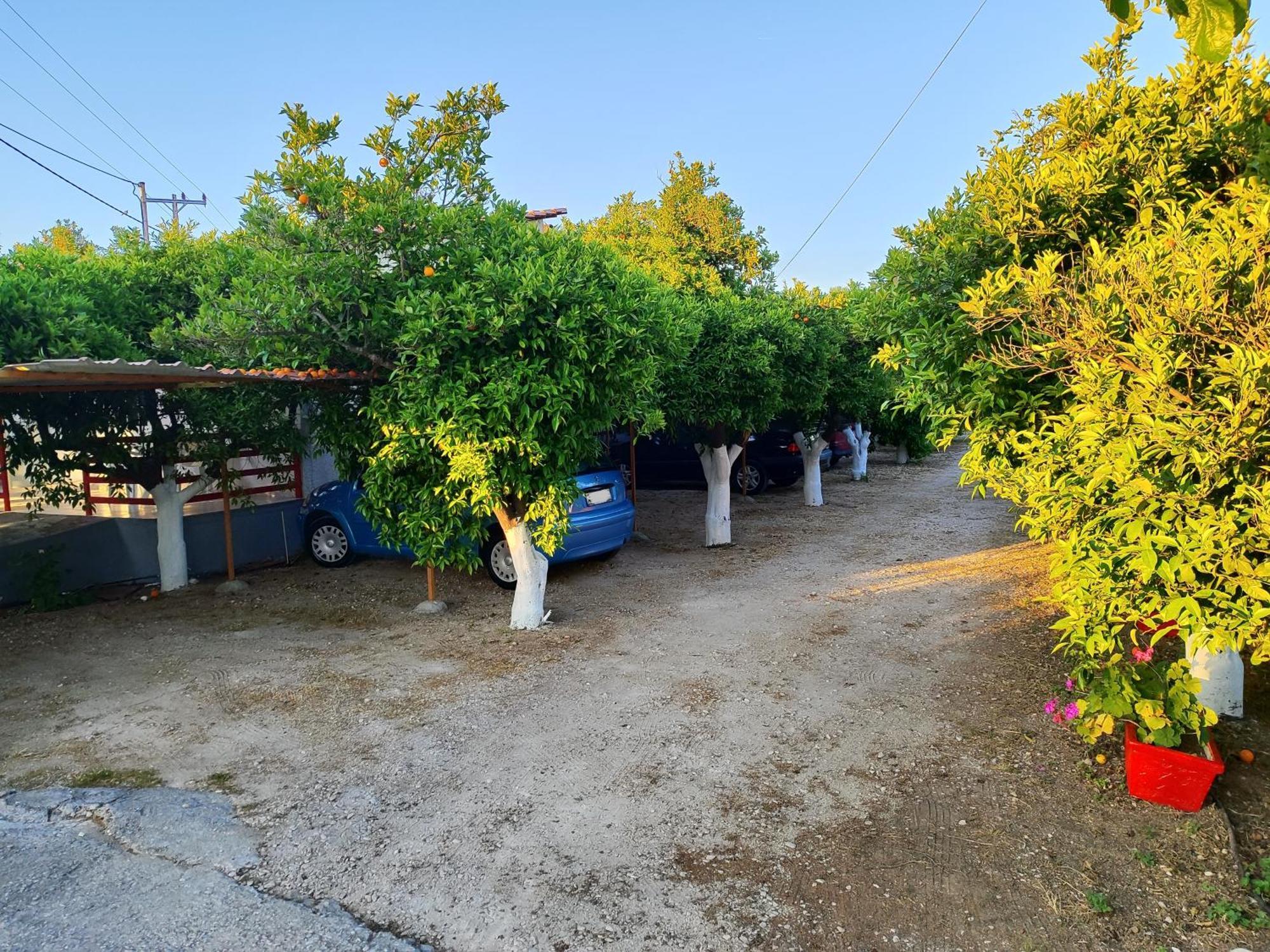 Cottonclub Villas Tolón Buitenkant foto