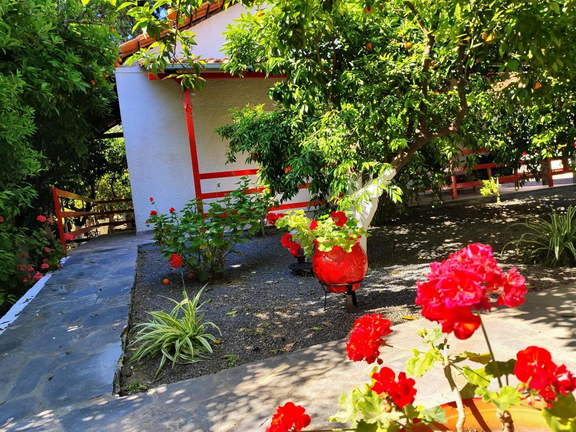 Cottonclub Villas Tolón Buitenkant foto